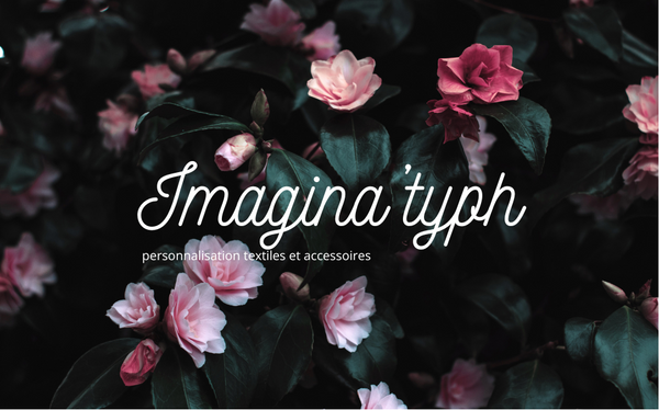 Imagina'Typh