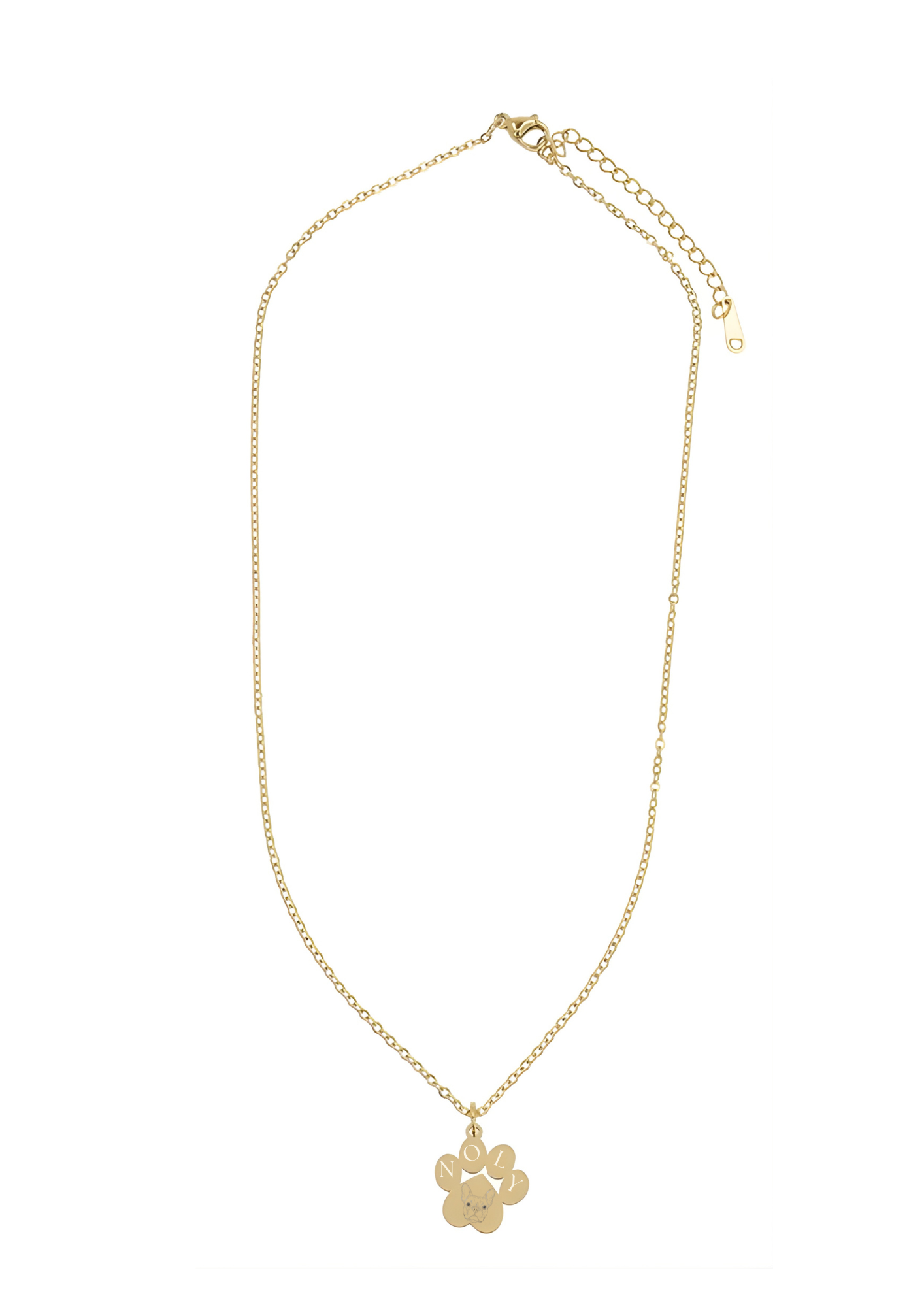 Collier Patte